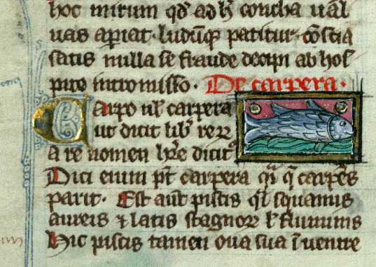 Manuscrit enluminé avec un dessin de carpe